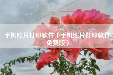 手机照片打印软件（手机照片打印软件免费版）