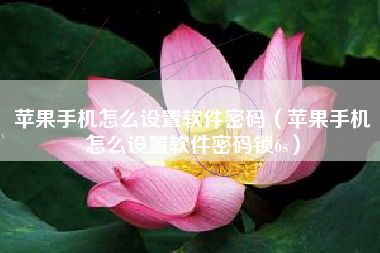 苹果手机怎么设置软件密码（苹果手机怎么设置软件密码锁6s）