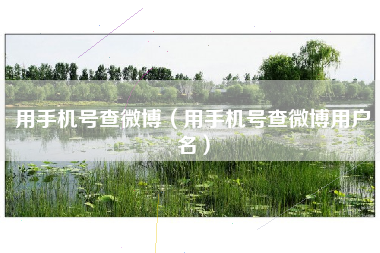 用手机号查微博（用手机号查微博用户名）