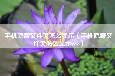 手机隐藏文件夹怎么显示（手机隐藏文件夹怎么显示vivo）