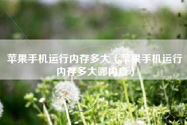 苹果手机运行内存多大（苹果手机运行内存多大哪内查）