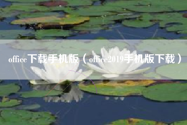 office下载手机版（office2019手机版下载）