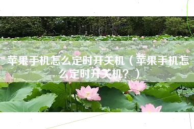 苹果手机怎么定时开关机（苹果手机怎么定时开关机？）