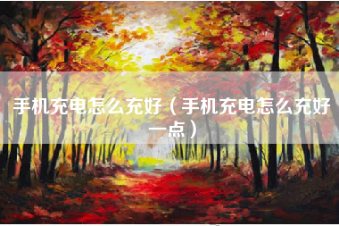 手机充电怎么充好（手机充电怎么充好一点）