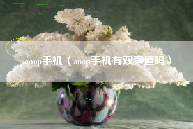 aoop手机（aoop手机有双声道吗）