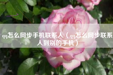 qq怎么同步手机联系人（qq怎么同步联系人到别的手机）