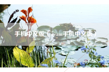 手机中文版（steam手机中文版）