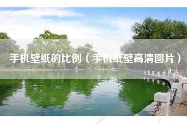 手机壁纸的比例（手机纸壁高清图片）
