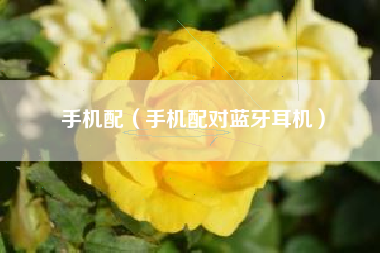 手机配（手机配对蓝牙耳机）