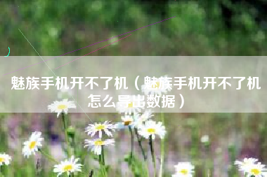 魅族手机开不了机（魅族手机开不了机怎么导出数据）