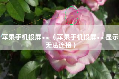 苹果手机投屏mac（苹果手机投屏mac显示无法连接）