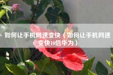 如何让手机网速变快（如何让手机网速变快10倍华为）