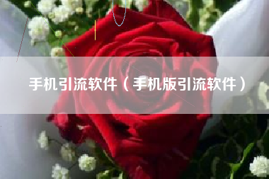手机引流软件（手机版引流软件）