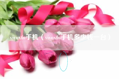 vivox6s手机（vivox6s手机多少钱一台）