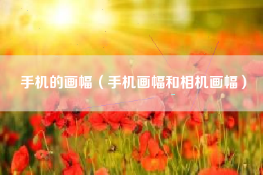 手机的画幅（手机画幅和相机画幅）