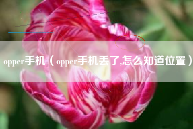 opper手机（opper手机丢了,怎么知道位置）