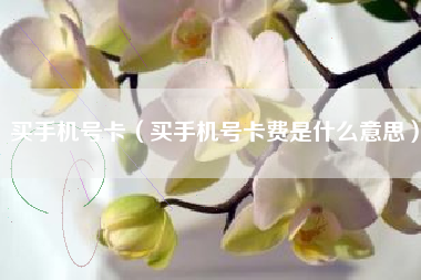 买手机号卡（买手机号卡费是什么意思）