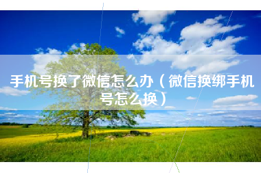 手机号换了微信怎么办（微信换绑手机号怎么换）