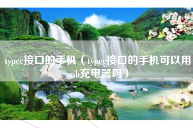 typec接口的手机（typec接口的手机可以用usb充电器吗）