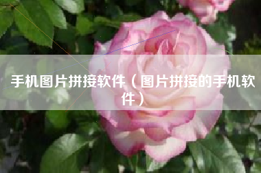 手机图片拼接软件（图片拼接的手机软件）