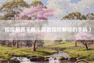 指纹前置手机（前置指纹解锁的手机）