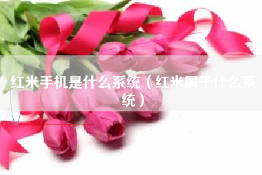 红米手机是什么系统（红米属于什么系统）