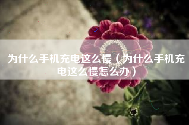 为什么手机充电这么慢（为什么手机充电这么慢怎么办）