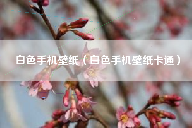 白色手机壁纸（白色手机壁纸卡通）