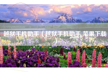 越狱手机助手（越狱手机助手 苹果下载）