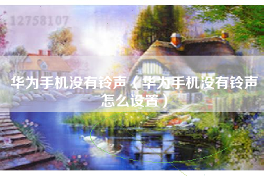 华为手机没有铃声（华为手机没有铃声怎么设置）