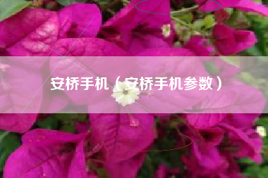 安桥手机（安桥手机参数）