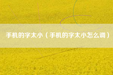 手机的字太小（手机的字太小怎么调）