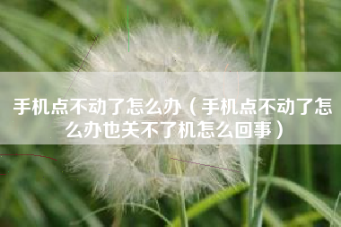 手机点不动了怎么办（手机点不动了怎么办也关不了机怎么回事）