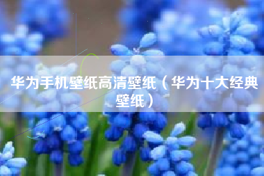 华为手机壁纸高清壁纸（华为十大经典壁纸）