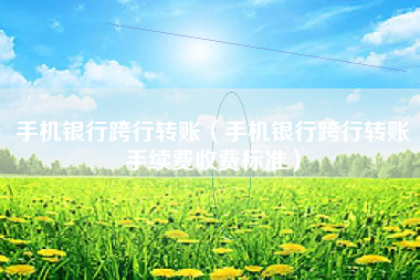 手机银行跨行转账（手机银行跨行转账手续费收费标准）