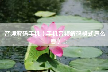 音频解码手机（手机音频解码格式怎么看）