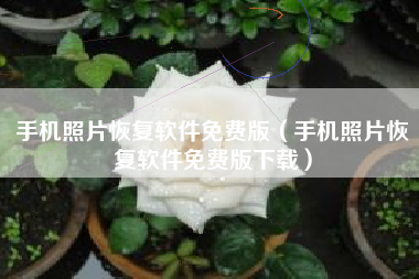 手机照片恢复软件免费版（手机照片恢复软件免费版下载）