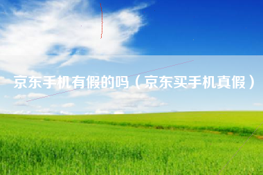 京东手机有假的吗（京东买手机真假）