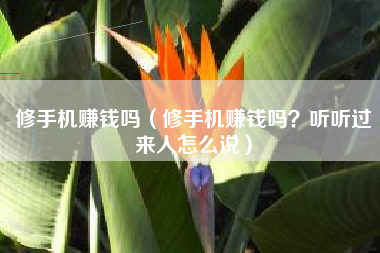 修手机赚钱吗（修手机赚钱吗？听听过来人怎么说）