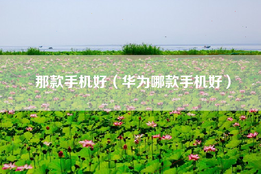 那款手机好（华为哪款手机好）