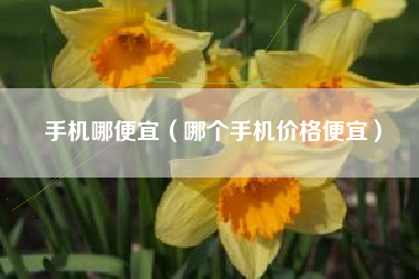 手机哪便宜（哪个手机价格便宜）