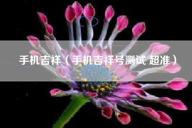 手机吉祥（手机吉祥号测试 超准）