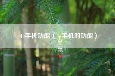 4g手机功能（4g手机的功能）
