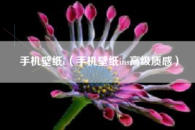 手机壁纸i（手机壁纸ins高级质感）