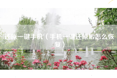 还原一键手机（手机一键还原后怎么恢复）