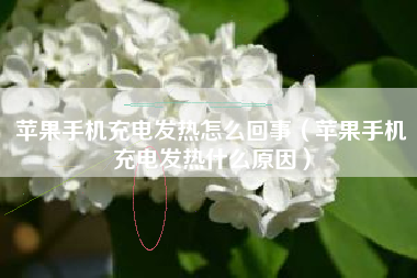 苹果手机充电发热怎么回事（苹果手机充电发热什么原因）