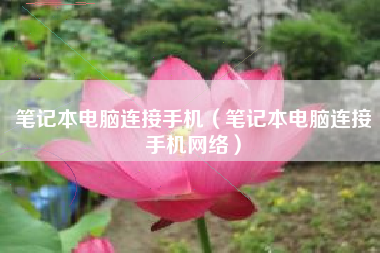 笔记本电脑连接手机（笔记本电脑连接手机网络）