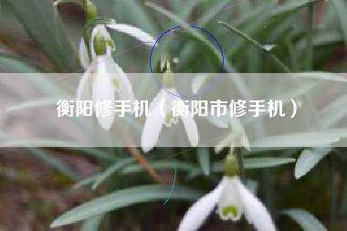 衡阳修手机（衡阳市修手机）