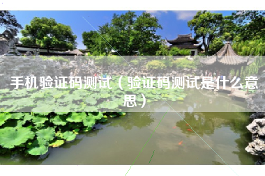 手机验证码测试（验证码测试是什么意思）