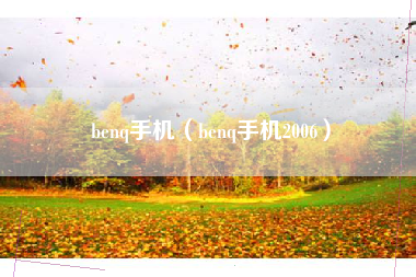 benq手机（benq手机2006）